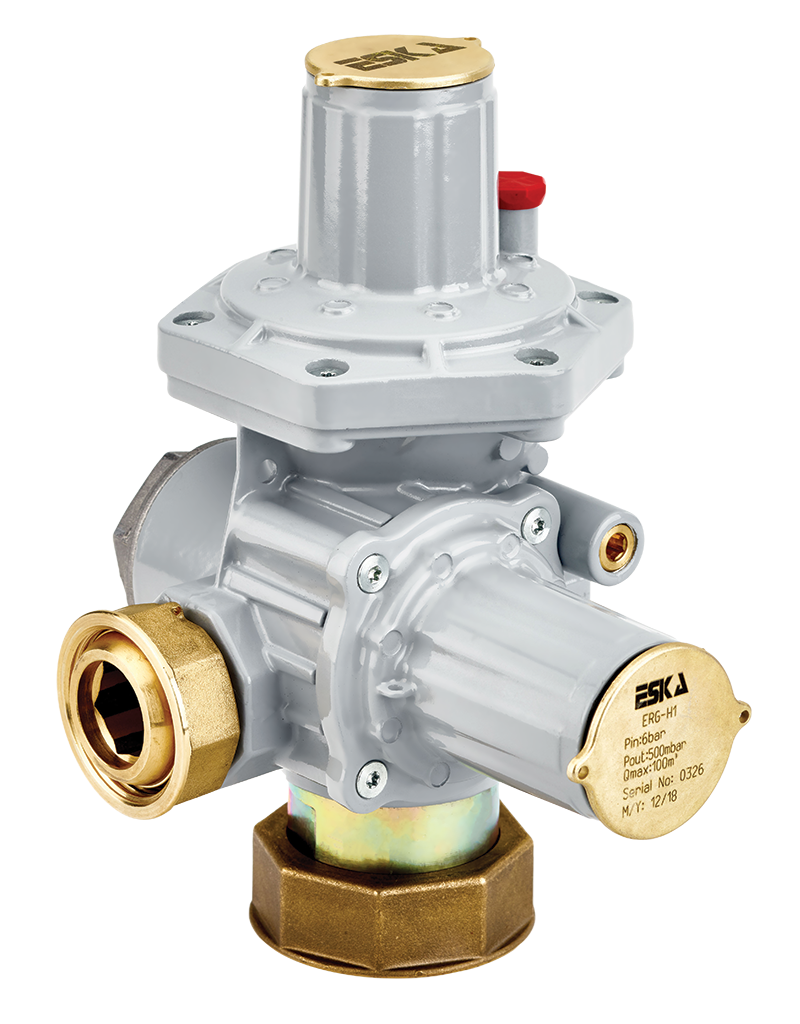 Natural Gas Pressure Regulator